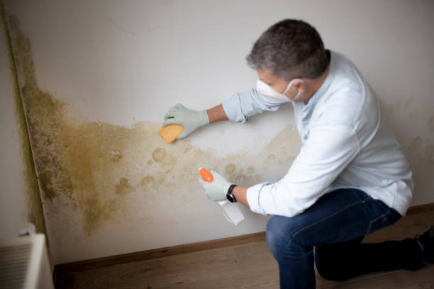 Best Airborne Mold Testing  in Balfour, NC